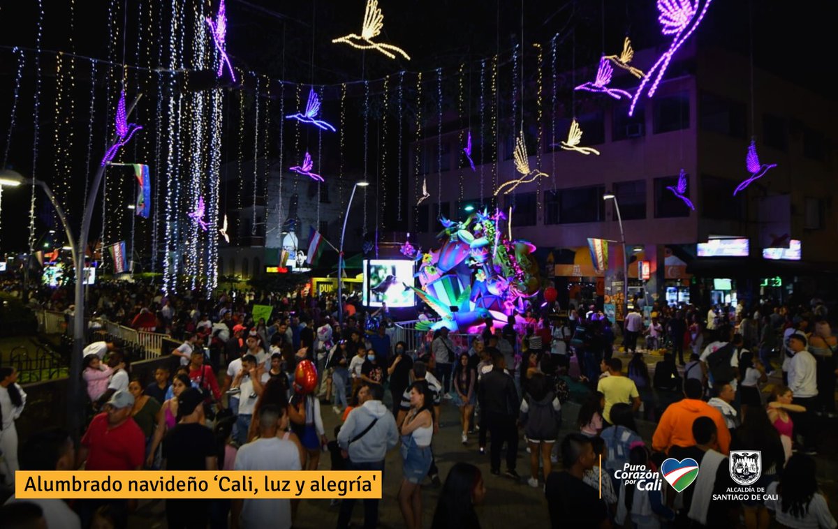 DiegoCortesRey's tweet photo. De seguro muchas cosas aún no sabes del alumbrado #CaliLuzyAlegría 💙❤️💚. Aquí te las cuento😉:

1. A diario recibimos más de 15 mil visitantes en la zona centro del Alumbrado Navideño. https://t.co/A48jd9oLLH