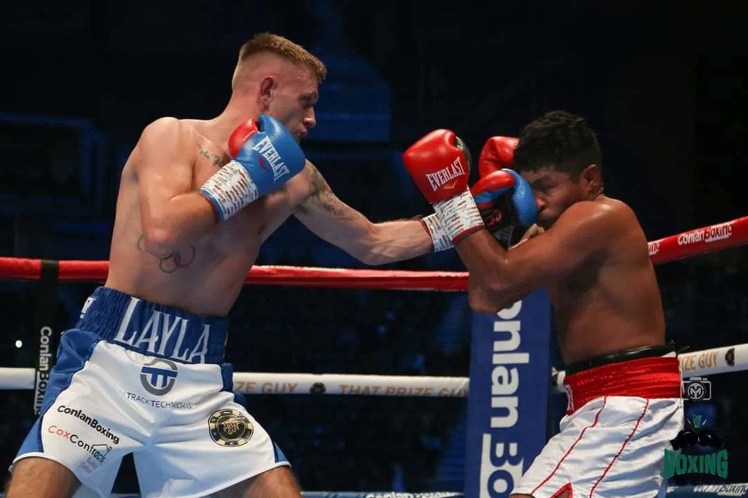 Boxing Hub Belfast tweet media