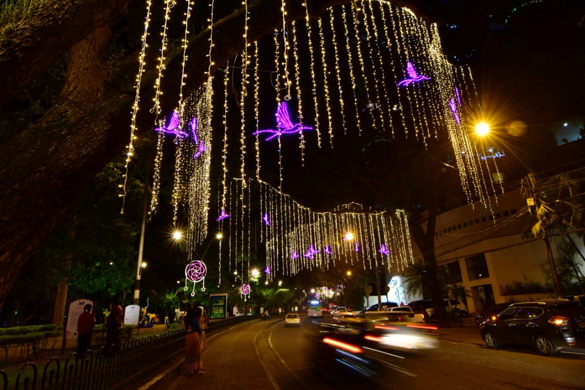 DiegoCortesRey's tweet photo. 3. Puedes recorrer 6 zonas de la ciudad para disfrutar del alumbrado. Tenemos montaje en Museo de la Tertulia, Bulevar del Río, Plaza Cayzedo, Parque Lineal Río Cali, Calle 5, Parque Panamericano, Mirador de Siloé, Parque del Obrero, Parque 72W, entre otros sectores. https://t.co/yZWSJjmqgR