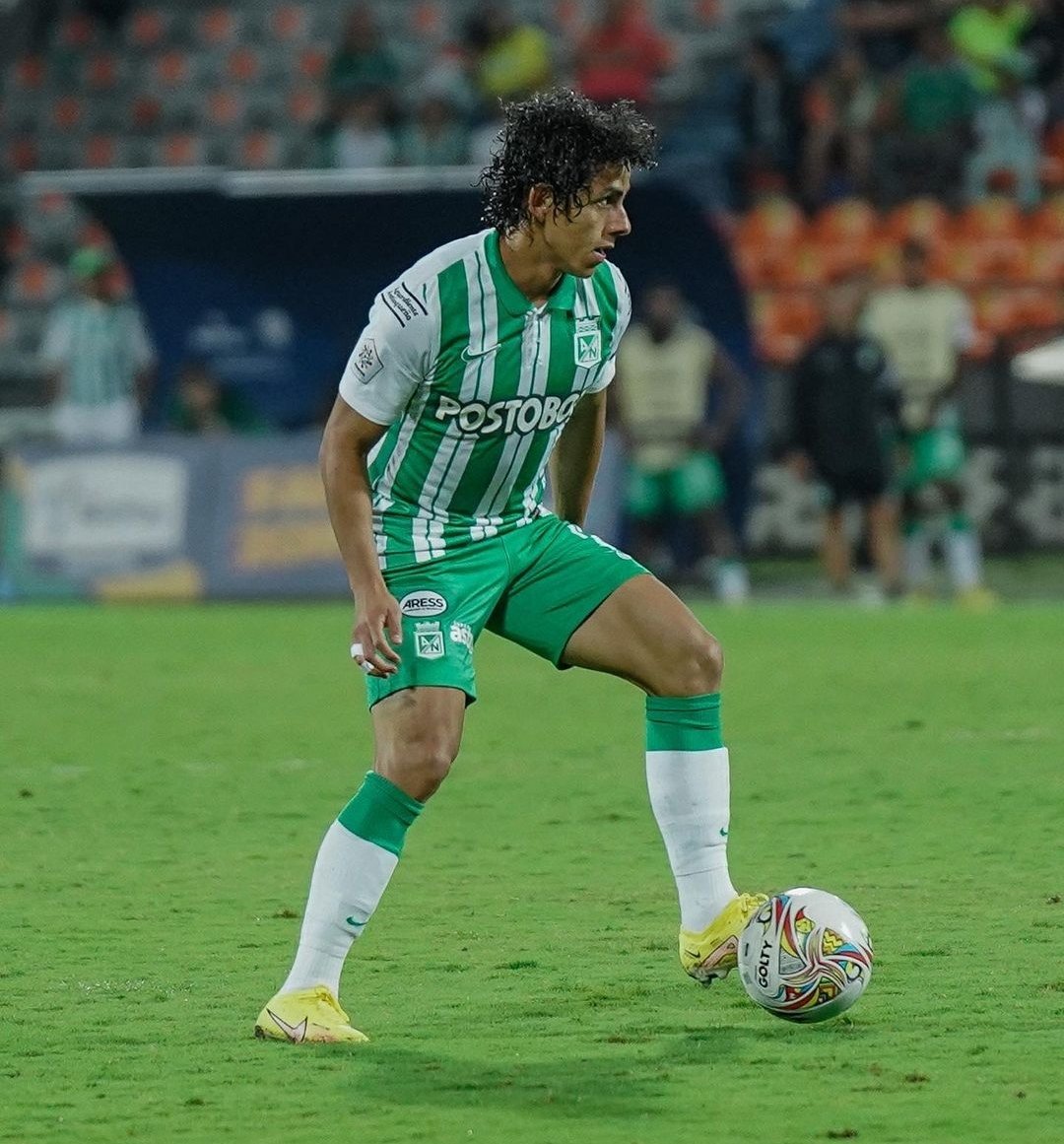 Pasión Tiburona tweet media