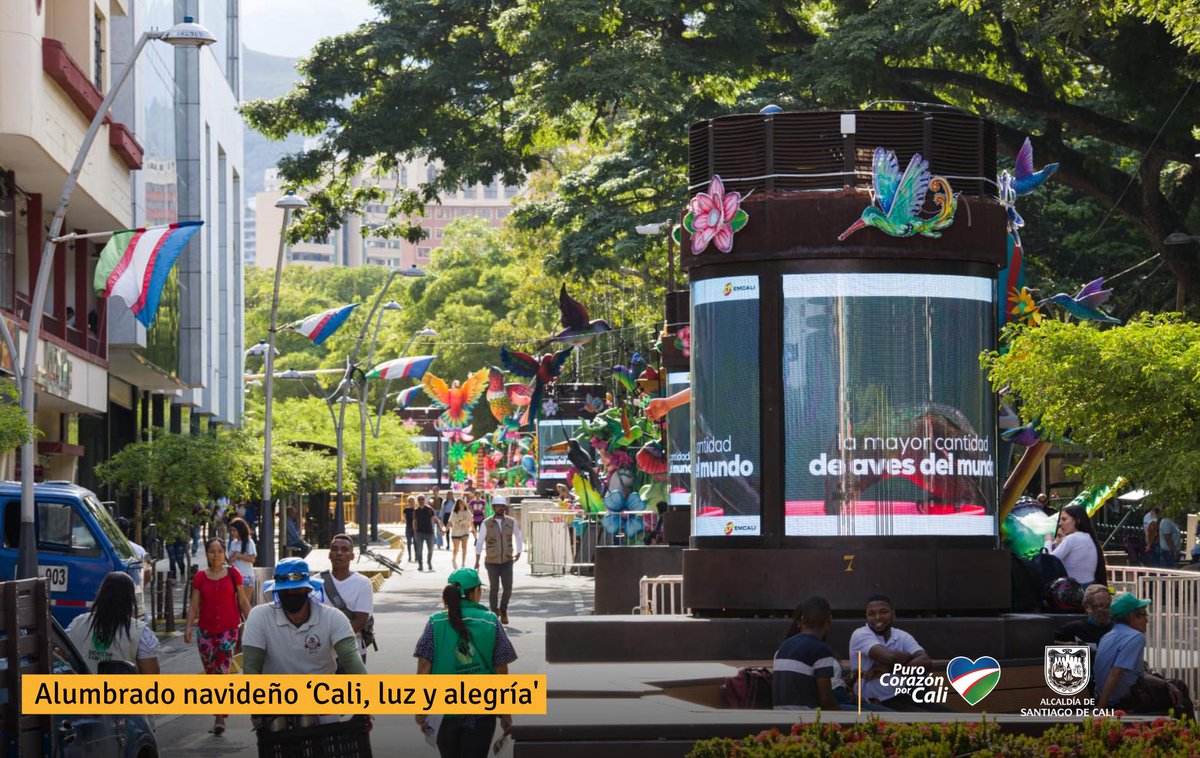 DiegoCortesRey's tweet photo. 2. El horario de encendido es de 6:30 a 11:30 p.m. Sin embargo, las hermosas figuras que tenemos en el Bulevar del Río permiten que puedas salir a recorrer sus estaciones en cualquier momento del día. 

¡Con la luz del sol, nuestros colibríes se ven hermosos! https://t.co/VNN3NtS5JE