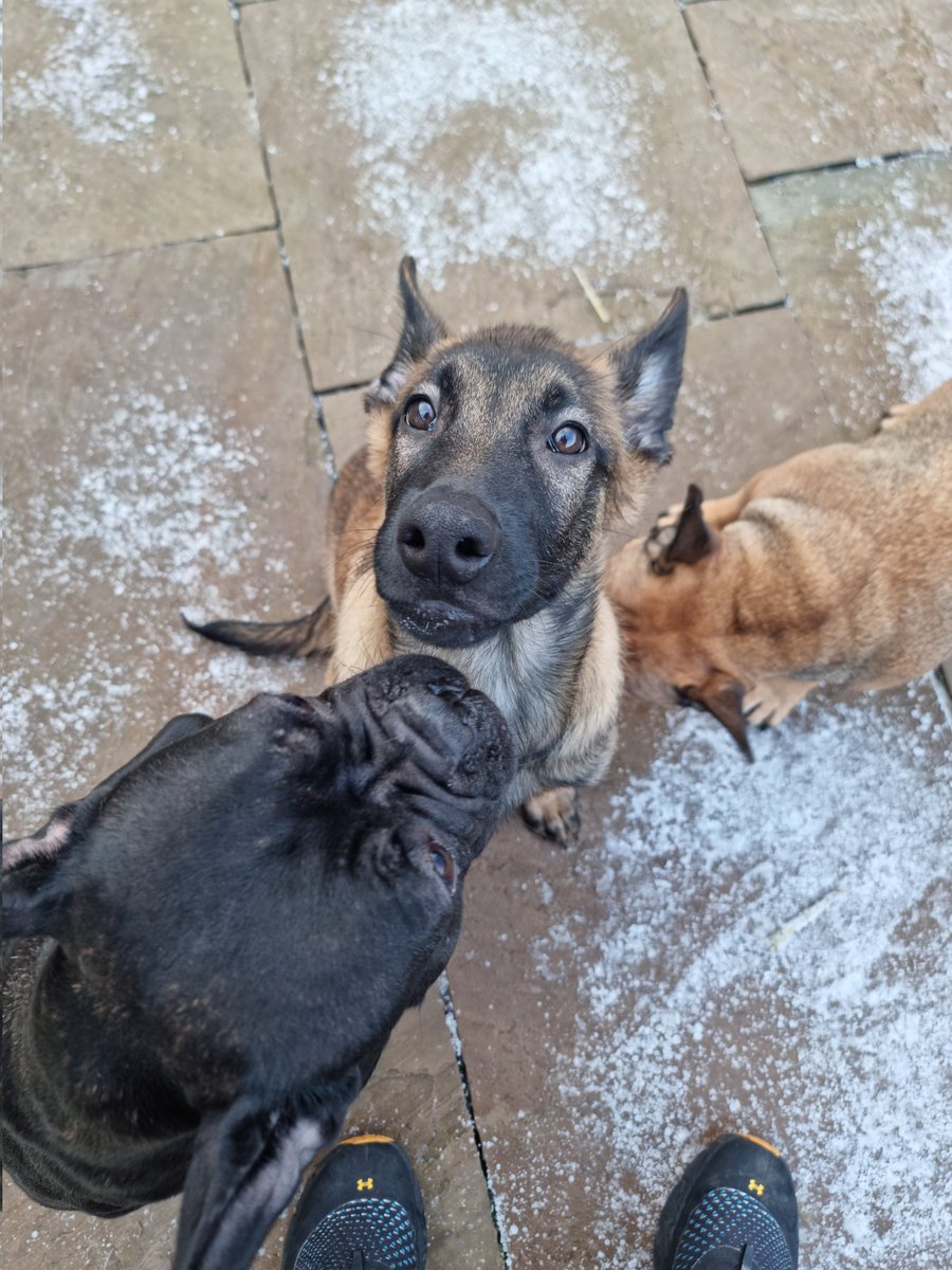 MOM🇺🇸 tweet media