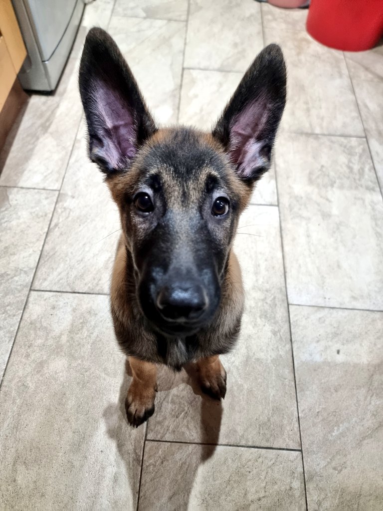 MOM🇺🇸 tweet media