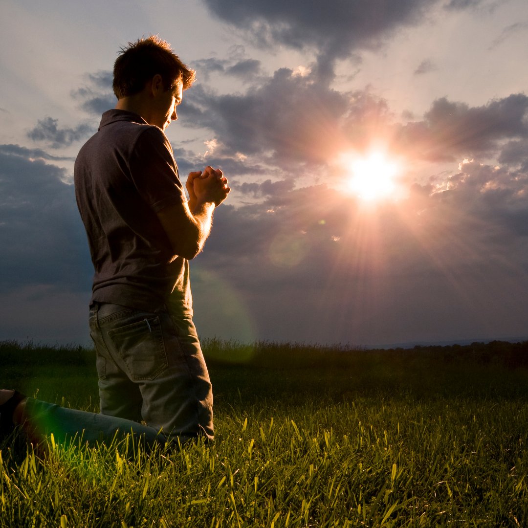 indiherbs_llc's tweet photo. Spending time in nature, directly or indirectly to achieve better health is necessary. Living amidst nature, drenching in the Sunlight, walking barefoot on green grass.Doing yoga in the open air can benefit health and well-being.
#Indiherbs #slimit #Decold #yoga #greenery #nature https://t.co/aTdemBiCwc