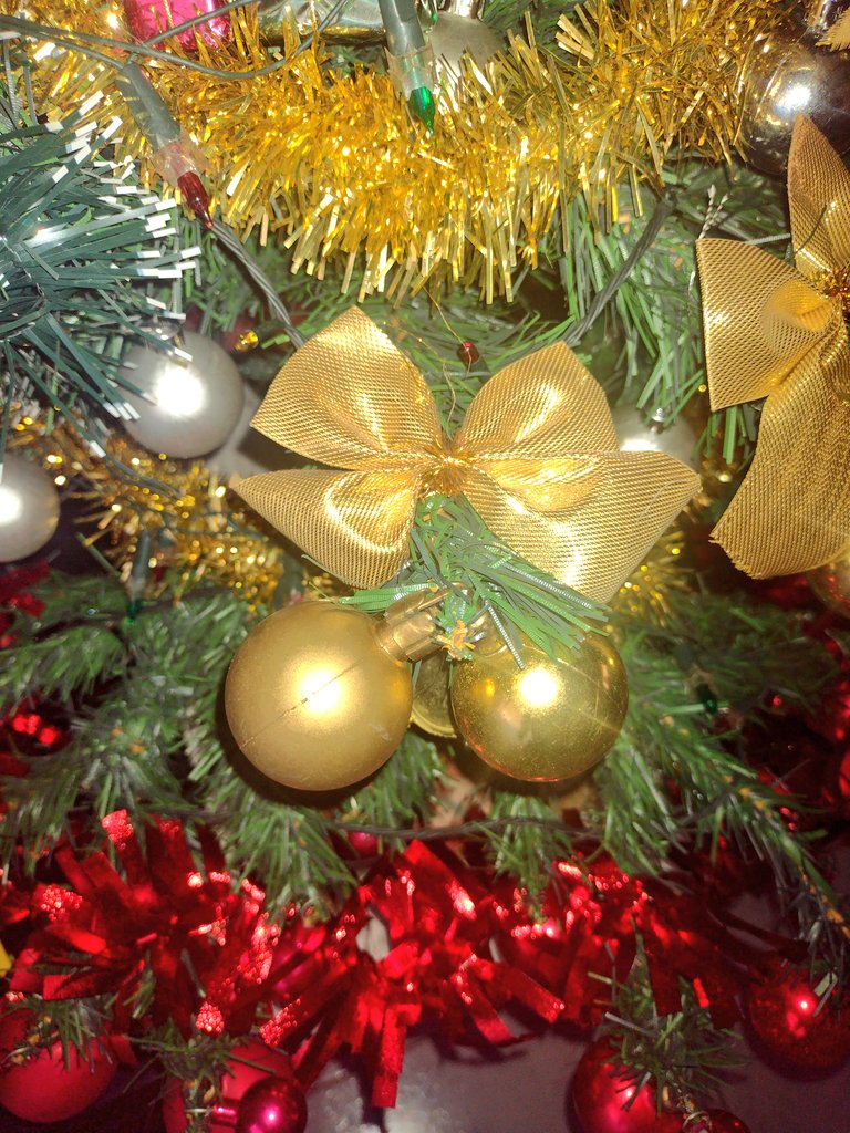 Alma.mia33 tweet media