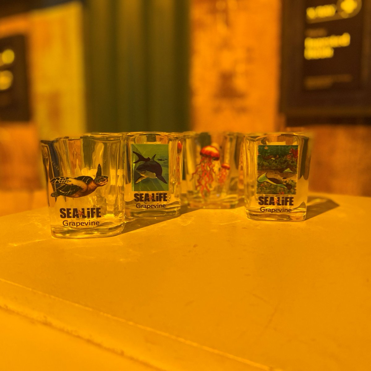 12 DAYS OF GIVEAWAYS – DAY 2

Today you can win this FINTASTIC set of SEA LIFE shot glasses! 

Go find us on Facebook to enter todays giveaway – SEA LIFE Aquarium (Dallas / Fort Worth)