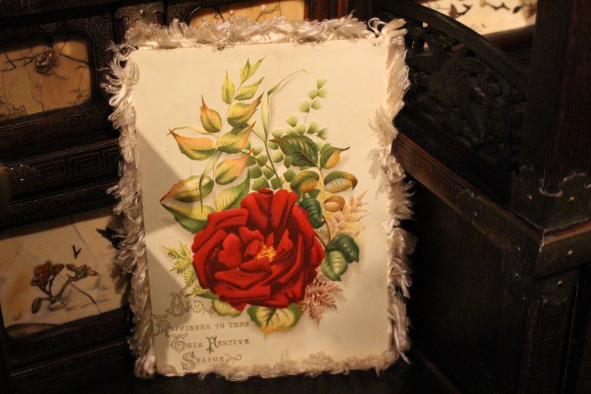 EldonHouse1834's tweet photo. Day 11 of #25DaysofHolidayCards, Today's card features a red flower and white trim!
How Festive!βοΈπ https://t.co/xcDFMux6UH