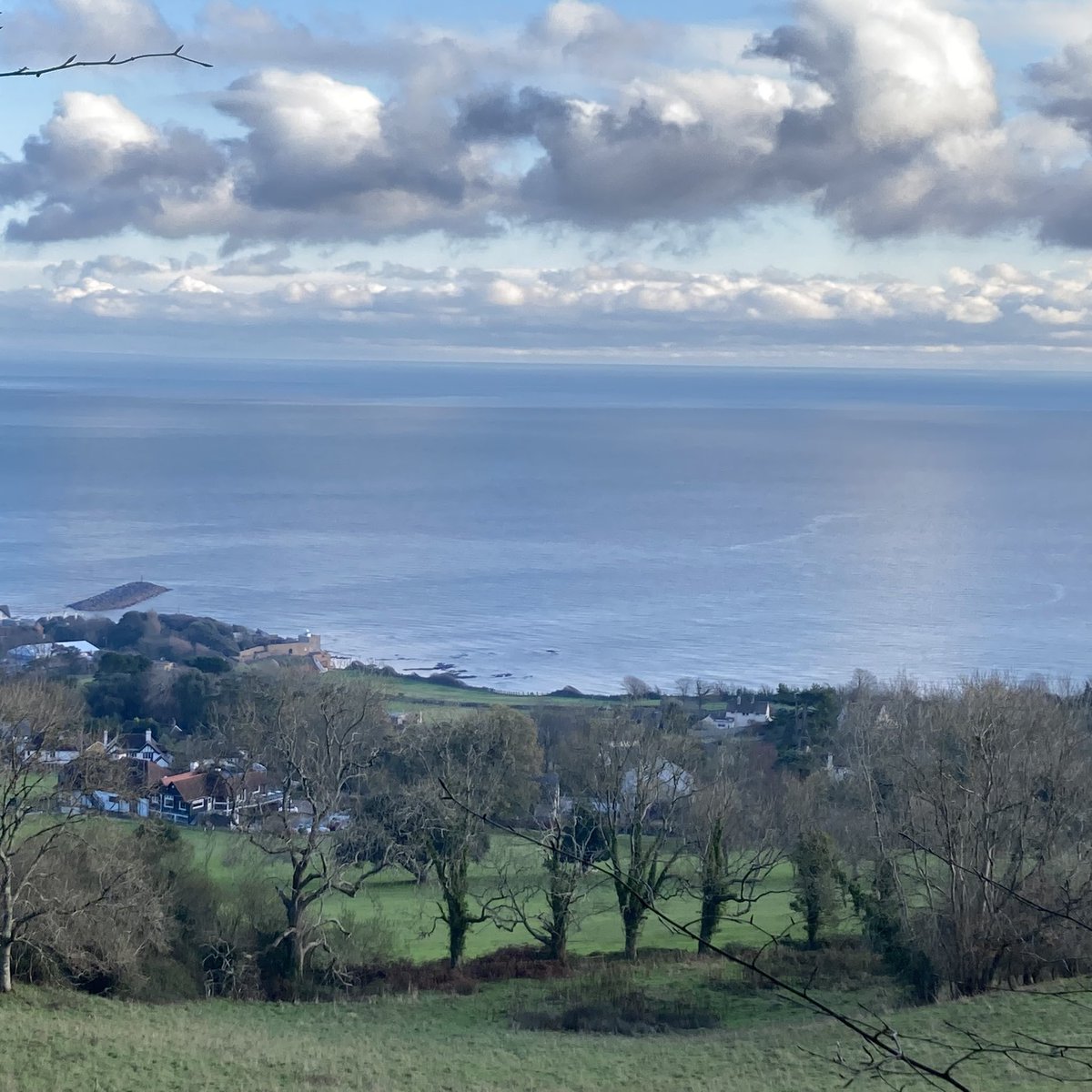 Devon Denizen tweet media