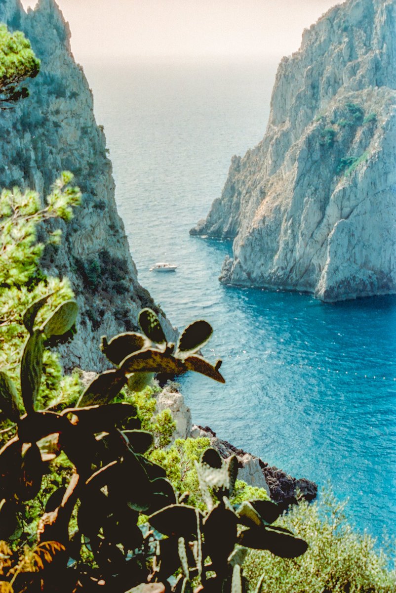 lightistic's tweet photo. Italy on film https://t.co/SQ6Lg60vnG