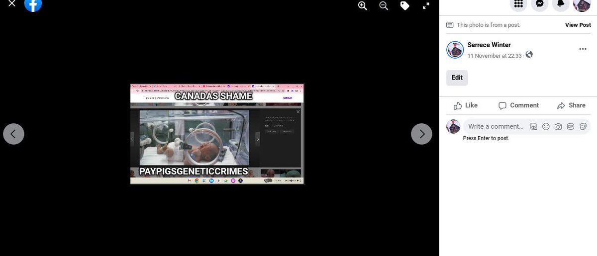 PleasantSerrece's tweet photo. I hold the federal governt responsible for toture I suffered inablility to get correct documents #GenocideReport https://t.co/UsRYtw8Tet #TwitterFiles #Trician #Education #TrainingandDevelopment #surviovrsofgenocide #skillshare #AngelSisters #Toronto #Canada #novascotia #Halifax https://t.co/OCsdQT4yqw