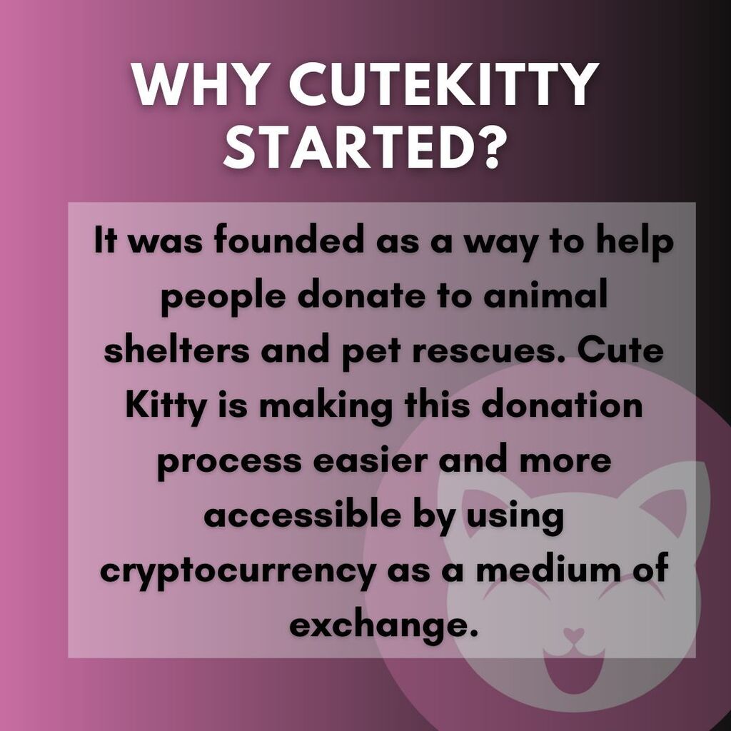 cutekittyorg's tweet photo. Little puppies for big hearts
.
.
.
.
.
.
#helpcat #catsonly #catsforever #catsforlife #catloversworld #catsarethebest #catsworld #catloversworld #cryptocurrencytrade #cryptocurrencyinvesting #cryptocurrencysolution #cryptocurrencyrevolution #cryptocurre… https://t.co/tf0Bolwm6u https://t.co/qrofaP8tHe