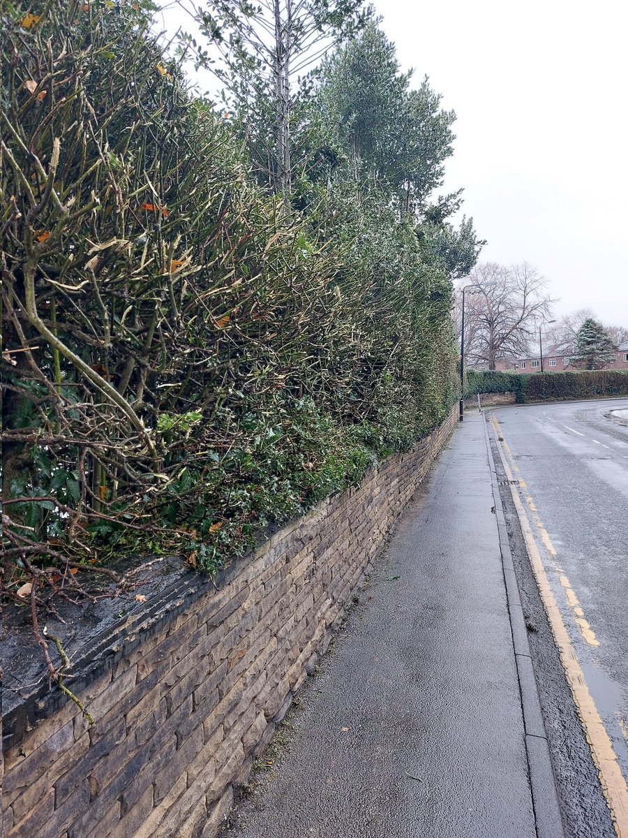 Friends of Pickering Lodge Park tweet media