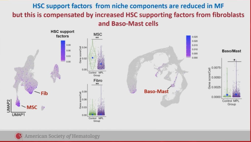 MPN_Hub's tweet photo. #ASH22| Rong Li @UniofOxford shows how cross talk between hematopoietic cells and fibroblasts drive inflammation and remodelling of the BM in #MPN, highlighting the cellular subsets EBM and iFib as inflammatory mediators and galactin-1 as a novel biomarker #MPNsm #medicalcongress https://t.co/ugIqC1D7GI