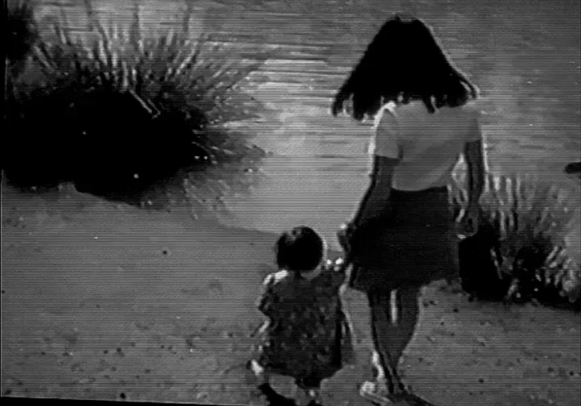Stefanie Wall 🌸 tweet media