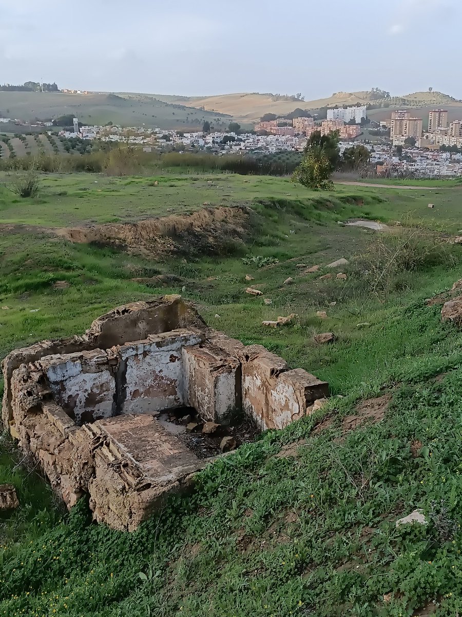 Jujonomi87's tweet photo. Estoy en el cerro del Carambolo, el punto más antiguo donde surgió la civilización en el entorno de Sevilla, hace más de 2500años. A pesar de ser un enclave tartésico y fenicio relevante  de la arqueología y la historiografía españolas, sigue abandonado y convertido en escombrera https://t.co/BpbDMqnAaV