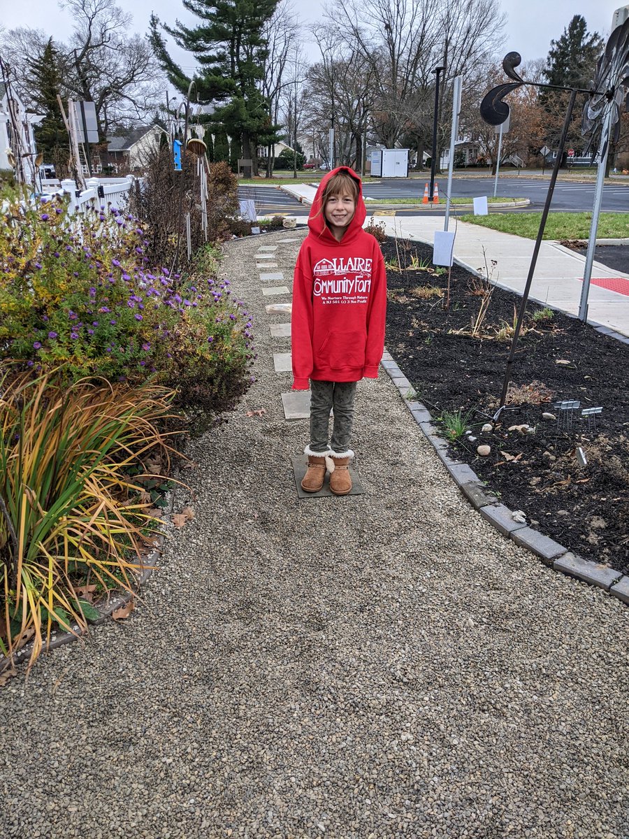 FSDGarden tweet media