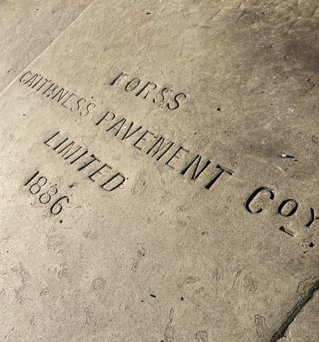 There’s been very little time for escapades lately, but here’s a few gems from today.