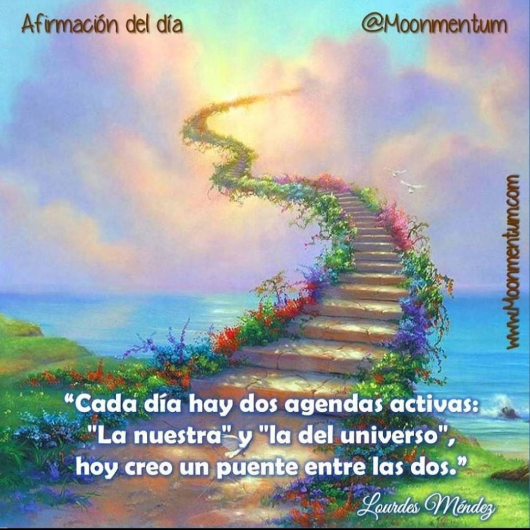 moonmentum's tweet photo. #afirmacióndeldía 11/12/2022 https://t.co/tn3t78gwyw
