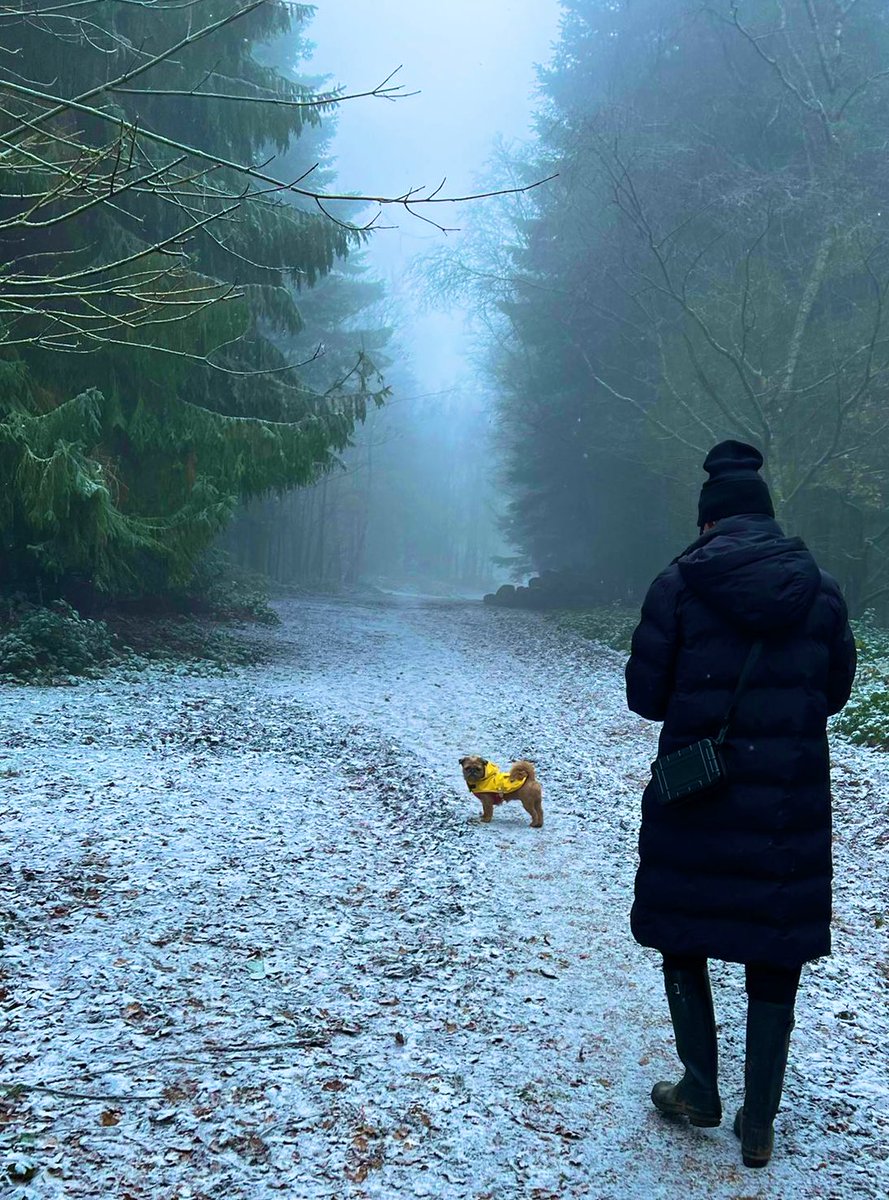 JoeBe_Fresh's tweet image. Are We Out Of The Woods Yet?