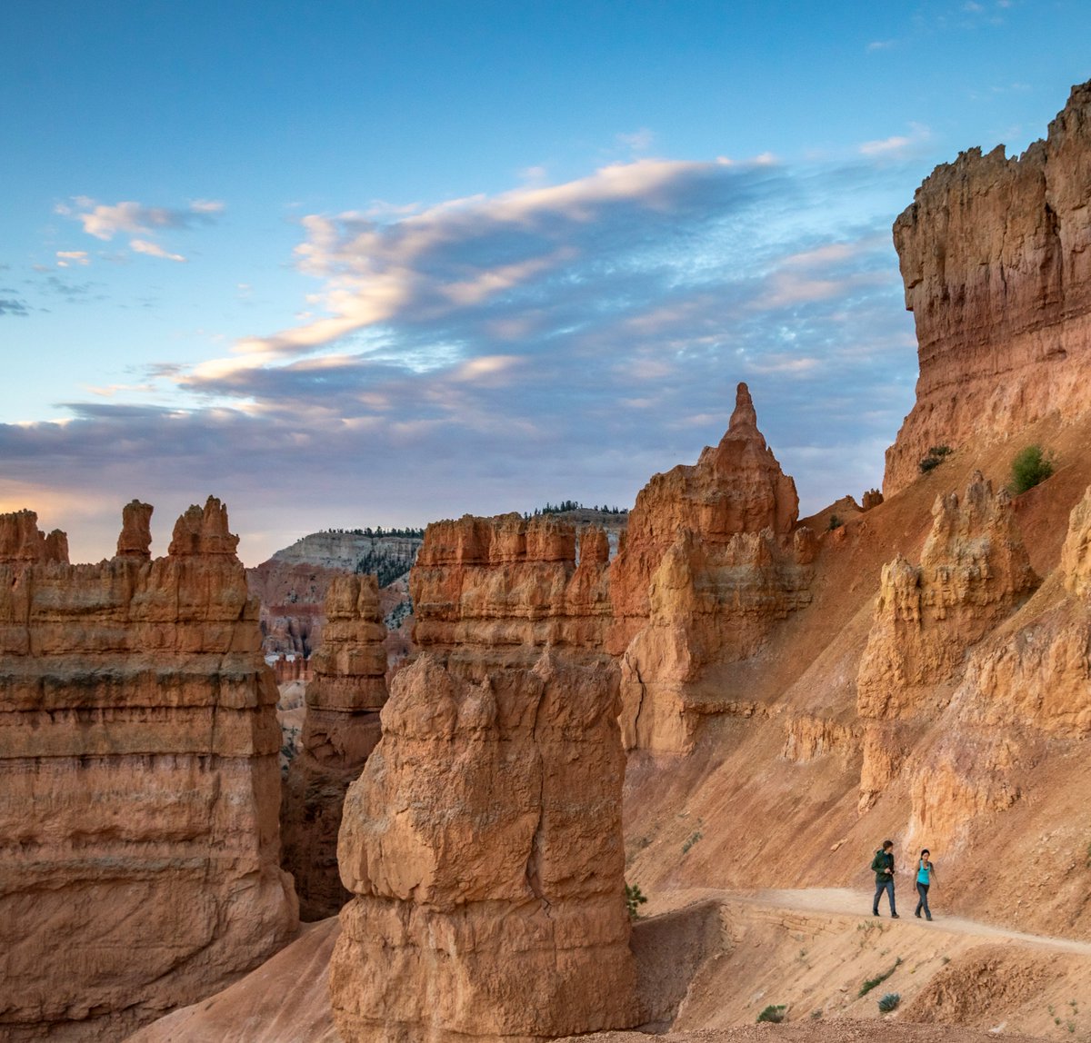 It’s International Mountain Day and we have a question for you. 🏔

How high is the highest point in Bryce Canyon National Park? 

Drop your guesses below 🤔

#BryceCanyonCountry #RoomToRoam #VisitUtah