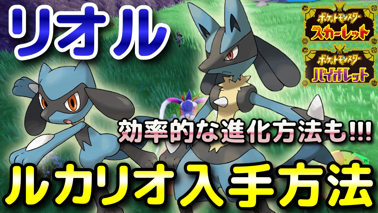 ニャン速ちゃんねる ポケモンsv リオル ルカリオ入手方法 出現場所 進化条件と効率的な進化方法も解説します スカーレット バイオレット T Co Utirodnmil Youtubeより ポケモンsv リオル ルカリオ T Co 6yaysgcoit