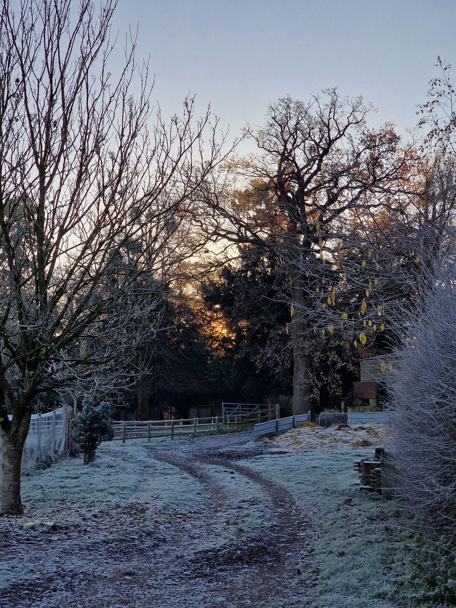 keyses's tweet image. Frosty