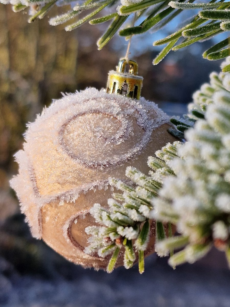 keyses's tweet image. Frosty