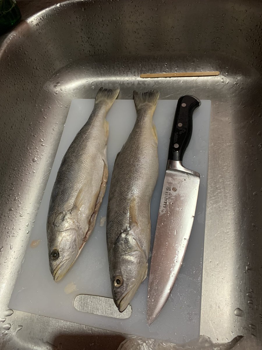 mikesullivanOO7's tweet photo. Fish guy was just here, picked up 8 lbs of tuna and these guys. I they are a type of sea trout, I’m told very delicious! #Fish #AltText #AltTextAddsMore 😁🐟 https://t.co/rCVFWqOIum