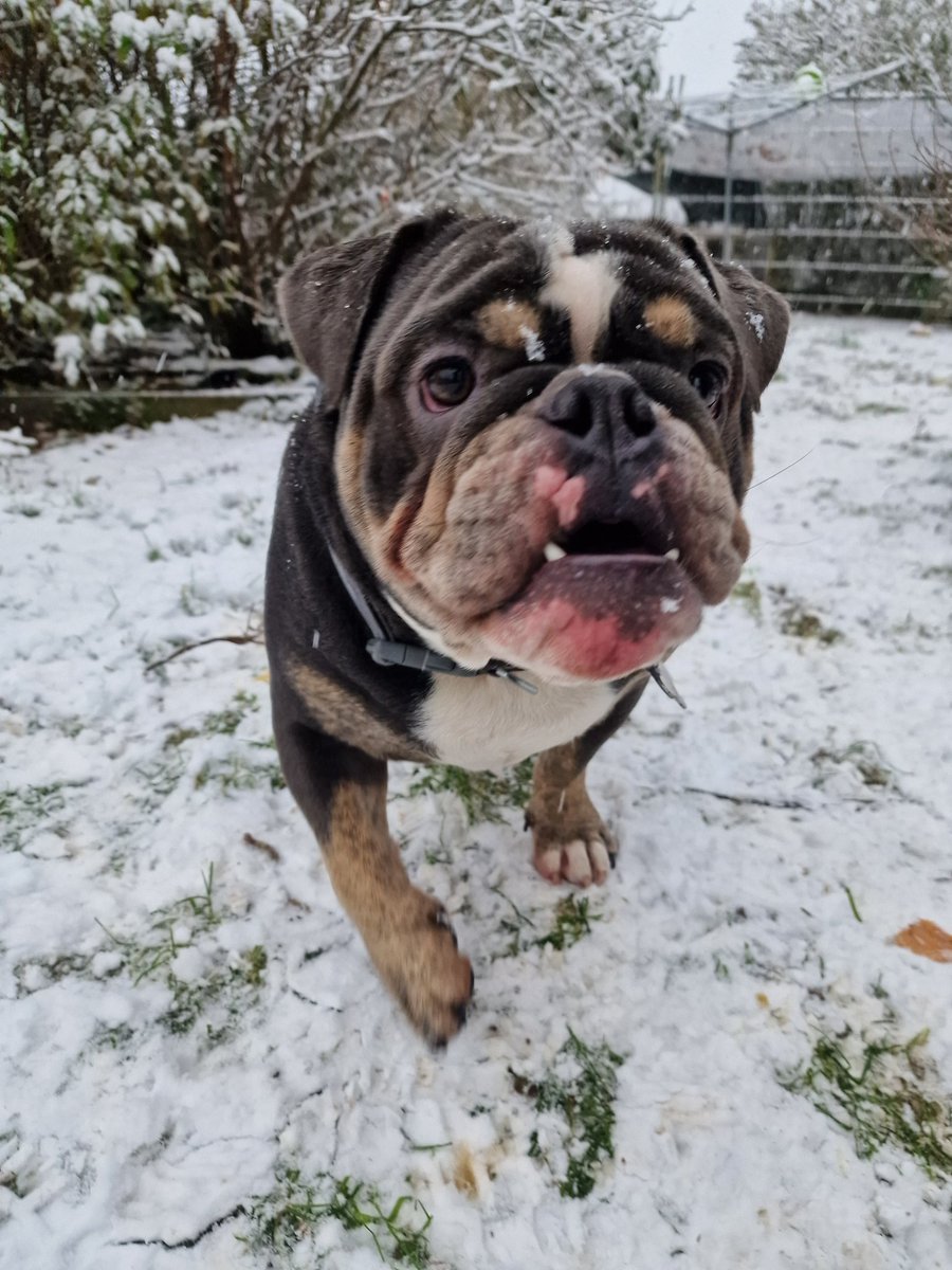 keyses's tweet image. First time seeing snow