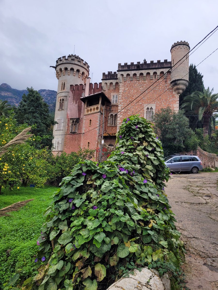lcarrio's tweet photo. Seguint amb família les petjades del poeta.

SÓLLER

El cel prepara secrets
murmuris de mandarina.
I les riberes del vent
esgarrien taronjades.

Bartomeu Rosselló-Pòrcel (Imitació del foc, 1938) https://t.co/zESqycrMlq