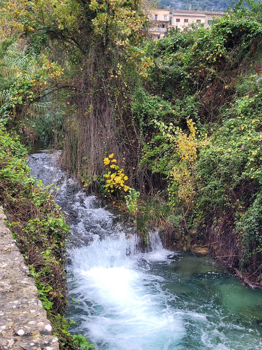 lcarrio's tweet photo. Seguint amb família les petjades del poeta.

SÓLLER

El cel prepara secrets
murmuris de mandarina.
I les riberes del vent
esgarrien taronjades.

Bartomeu Rosselló-Pòrcel (Imitació del foc, 1938) https://t.co/zESqycrMlq