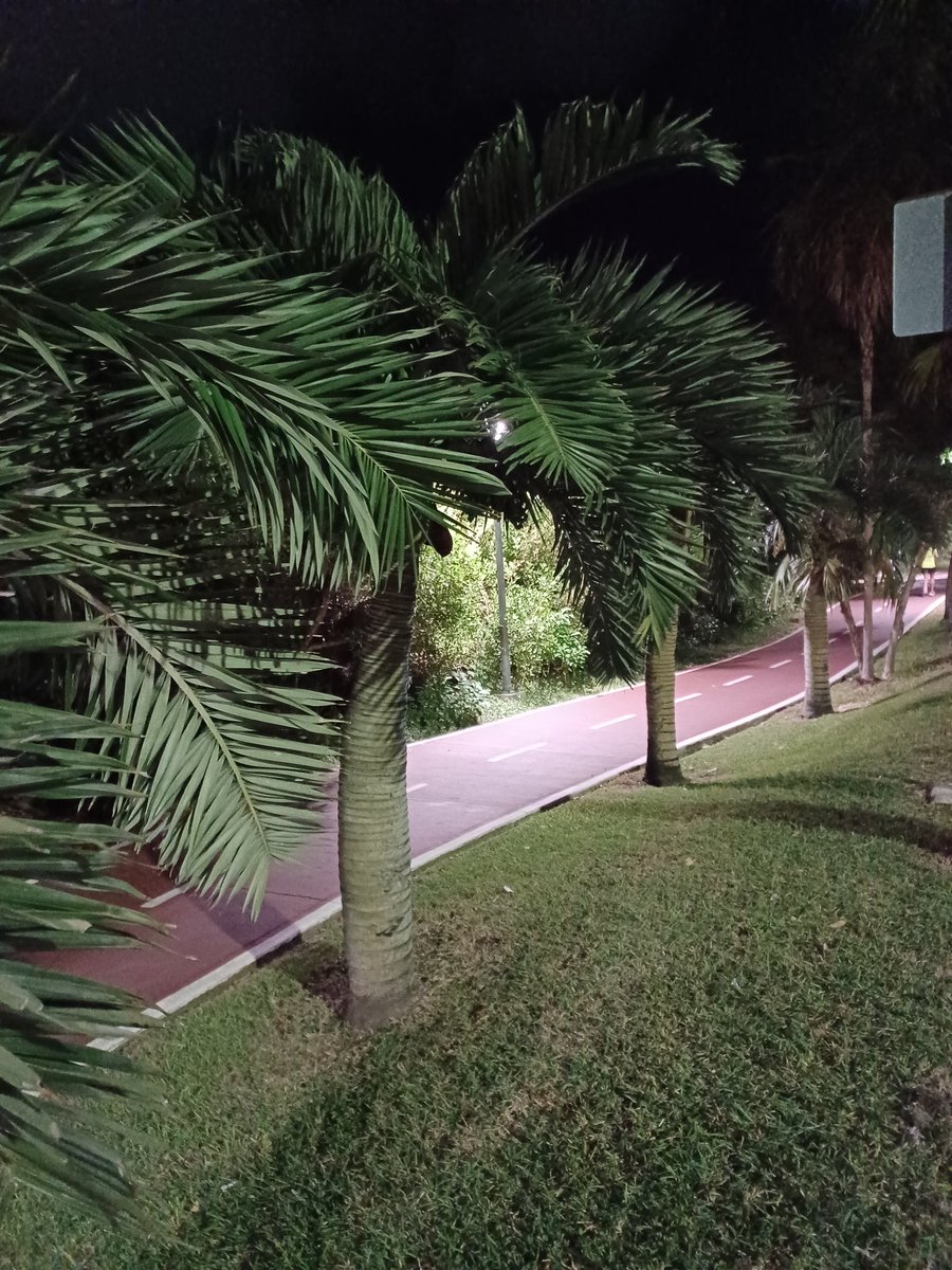 Første kveld i Cancun 🌎🧐