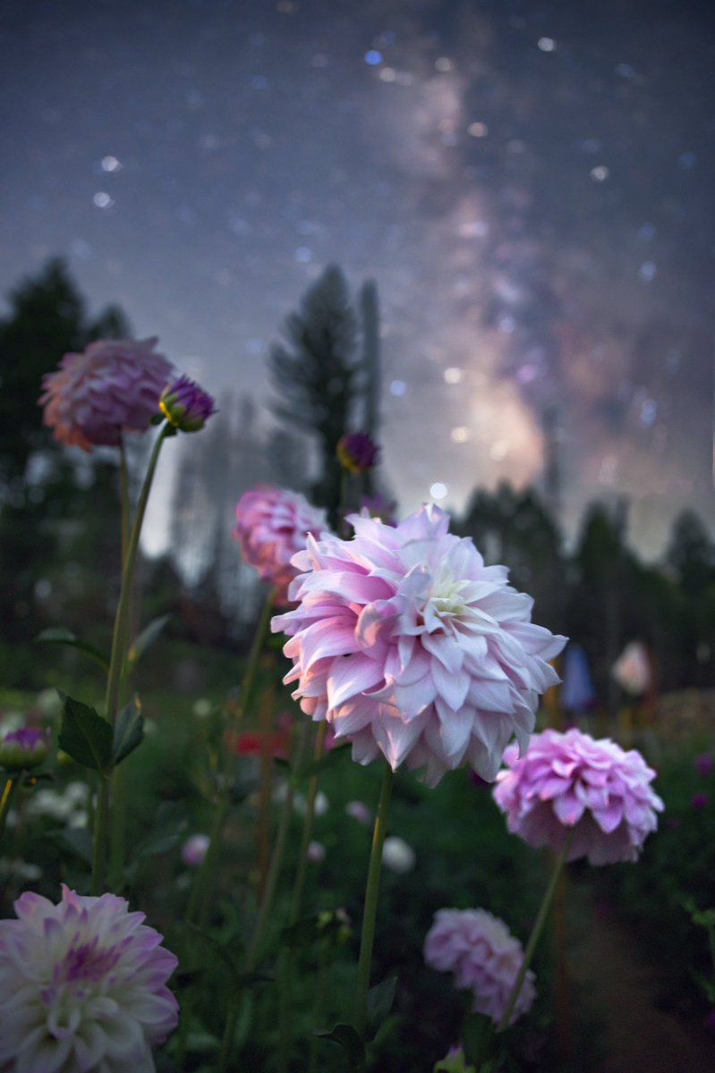 This fall I’ve been working OT getting my IRL presence set up, including my business. Most people would say it’s not wise to start a business &amp; by giving away all the money you bring in initially, however this project I fell into is very close to my heart.
🧵