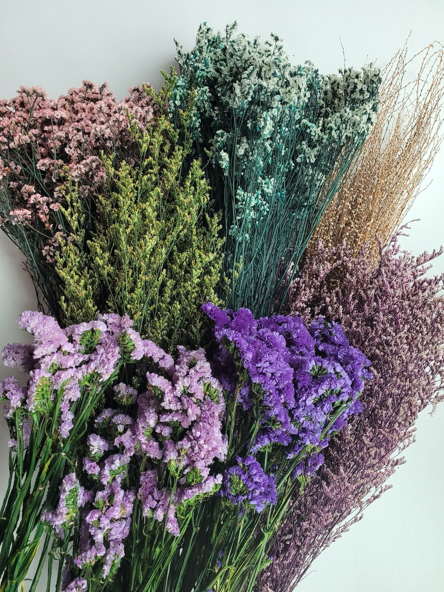 endlessblossoms's tweet photo. Shop my sale: 50% off. https://t.co/q2MBJff0KS #etsy #endlessblossoms #etsyfinds #etsygifts #etsysale #driedflowers #driedflowerbunches #preservedflowers #preservedflowerbunches #capia #statice #floraldesign # #shopsmall https://t.co/44gR67slZa
