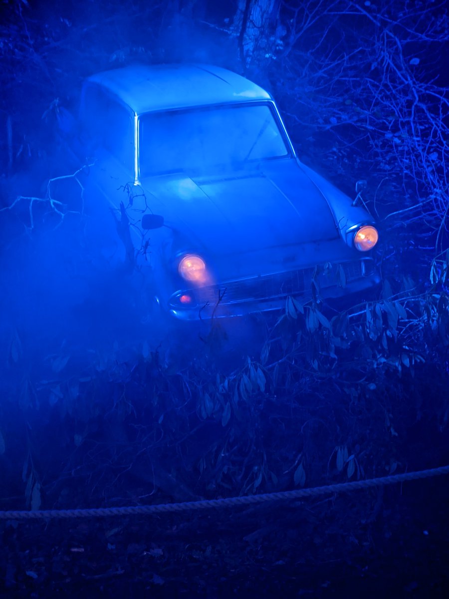 WillRadford5678's tweet photo. From a different angle.
#HarryPotter #aforbiddenforestexperience #car2 #arleyhall #photo #adifferentangle https://t.co/qmOErekk9T