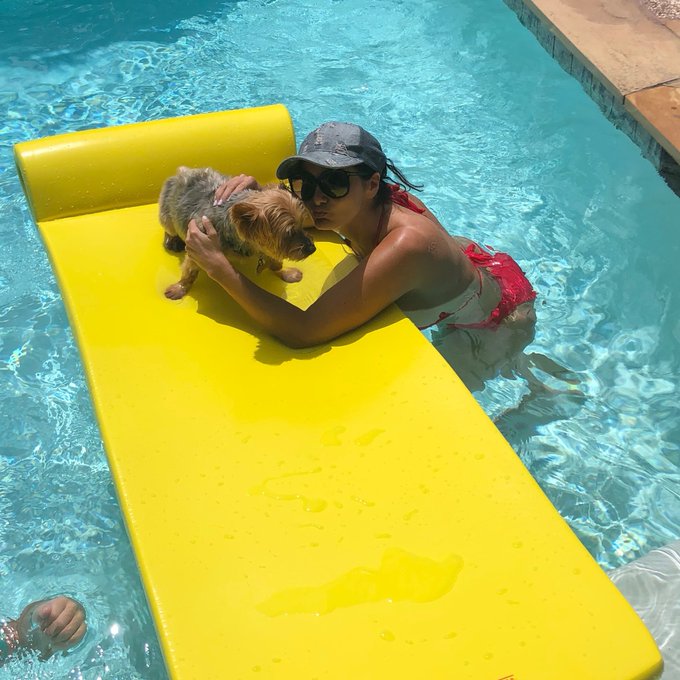 Yes you guessed it, he does not want to swim!  #sundayvibes https://t.co/g7Z6cBf7na<a href="/tag/sundayvibes"class="tags">#sundayvibes</a>