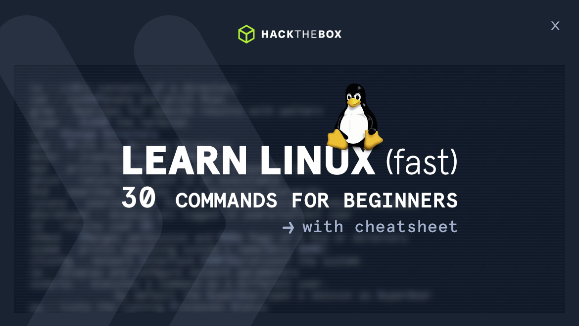 hackthebox_eu's tweet image. Taking your very first step into #cybersecurity? 📚
This is exactly where you need to be: understanding #Linux operating systems! Here&apos;s a guide to Linux that will walk you through the fundamentals of the #OS. hackthebox.com/blog/learn-lin…
#HackTheBox #HTB #Hacking #InfoSec