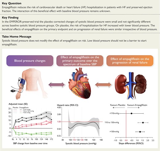 ehj_ed's tweet photo. In EMPEROR-Preserved trial, the real effect of empagliflozin on blood pressure!

https://t.co/3Nb2BN5ua1

#empaglifozin #systolic #pressure #safety #efficacy #cardiotwitter #EHJ @ESC_Journals @escardio https://t.co/OAwhO0Idcf