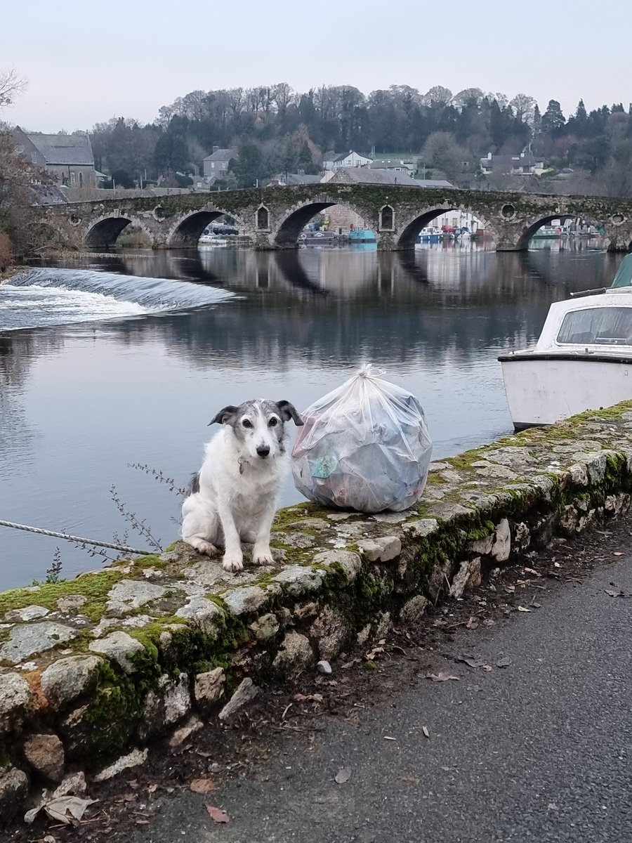 roriain's tweet photo. The #BarrowWay from Graiguenamanagh to Carriglead lock. Another nice chilly day. #LeaveNoTrace #litterpick #lovewhereyoulive #RiverBarrow https://t.co/RxthjBqQ2n