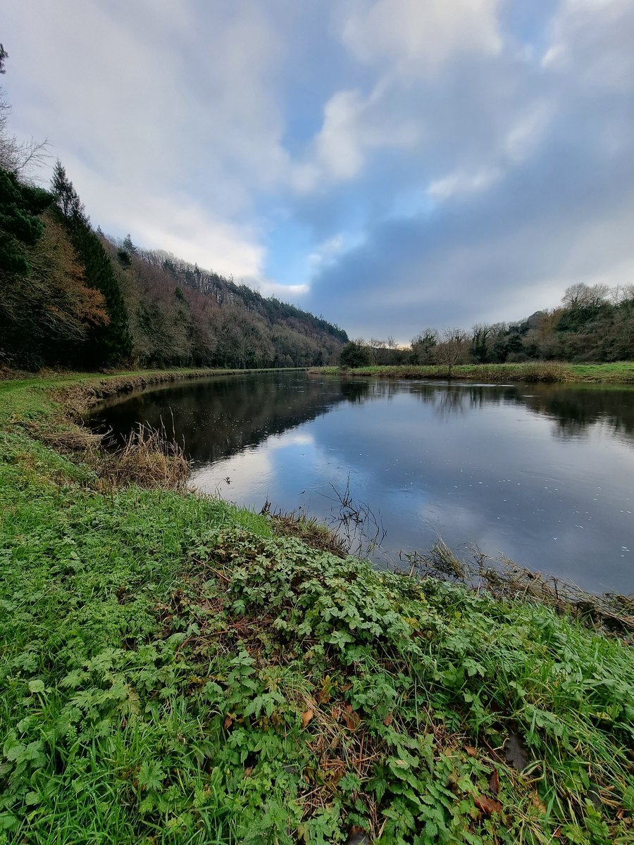 roriain's tweet photo. The #BarrowWay from Graiguenamanagh to Carriglead lock. Another nice chilly day. #LeaveNoTrace #litterpick #lovewhereyoulive #RiverBarrow https://t.co/RxthjBqQ2n