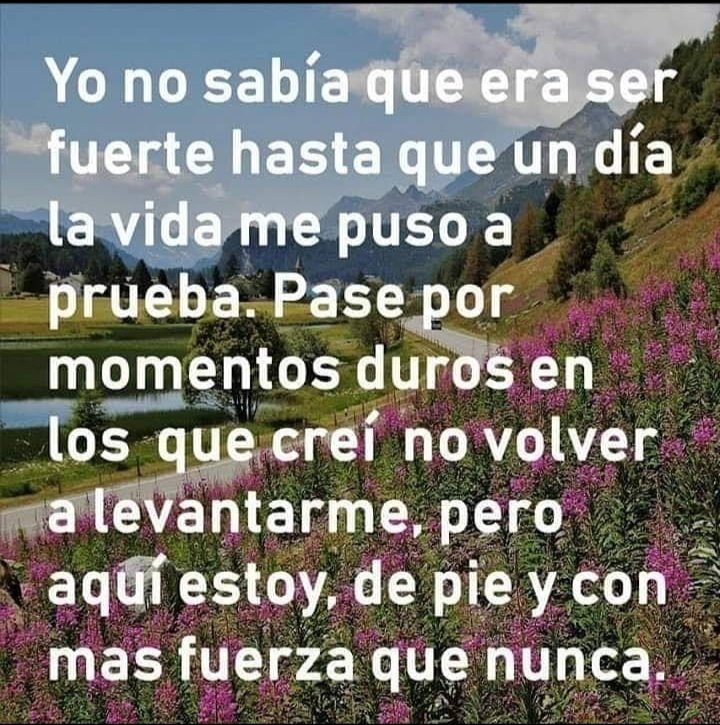 DavidVillarejo7's tweet photo. @PlataformaAcoso https://t.co/Wt0gLP2ZZv