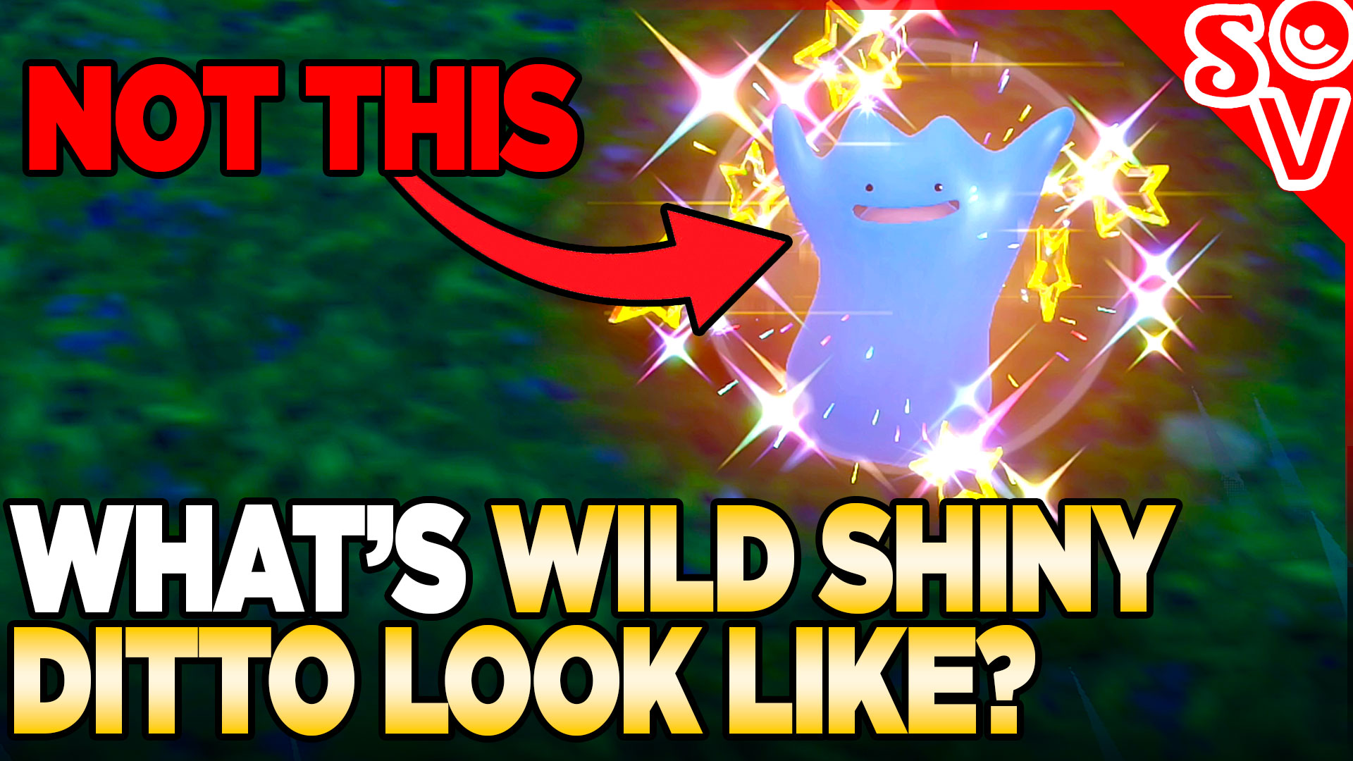 Austin John Plays on X: What Does Wild Shiny Ditto Look Like in Pokemon  scarlet and Violet?   / X