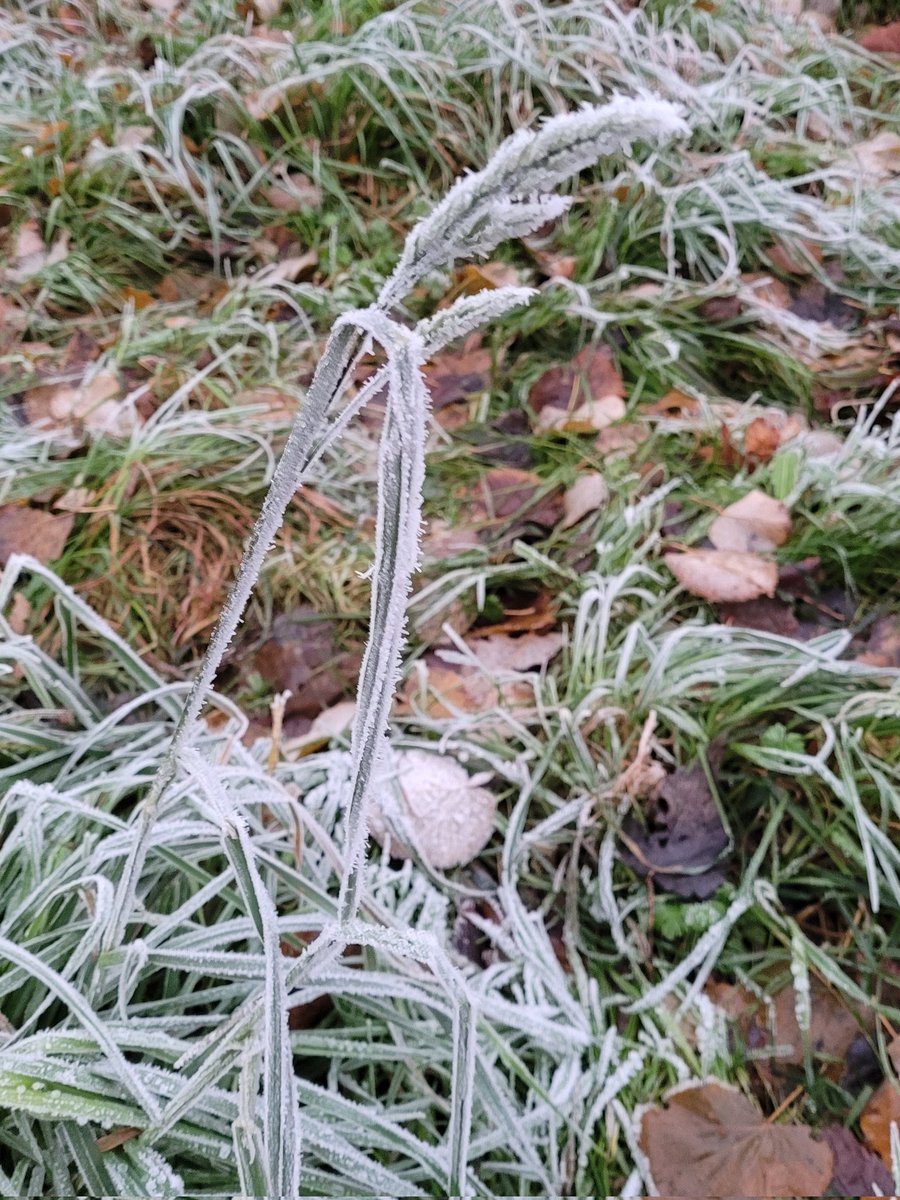 13SciDave's tweet photo. It was pretty cold on #HadleyCommon https://t.co/MaBnVJJRzX