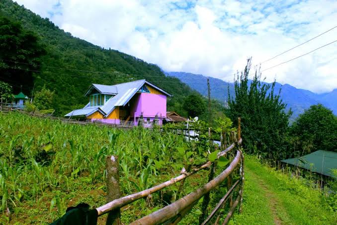WonderVinod's tweet photo. Places in #WestSikkim

#Kanchenjunga National Park, Yuksom, #Pelling, Kaecheopalri Lake, Yangtey, #Geyzing, #Darap, Rabdentse Ruins and many other beautiful places. 

#InternationalMountainDay 
#DekhoApnaDesh 
#IncredibleIndia 
#travel 

48/n https://t.co/MWJ1yPcm4i