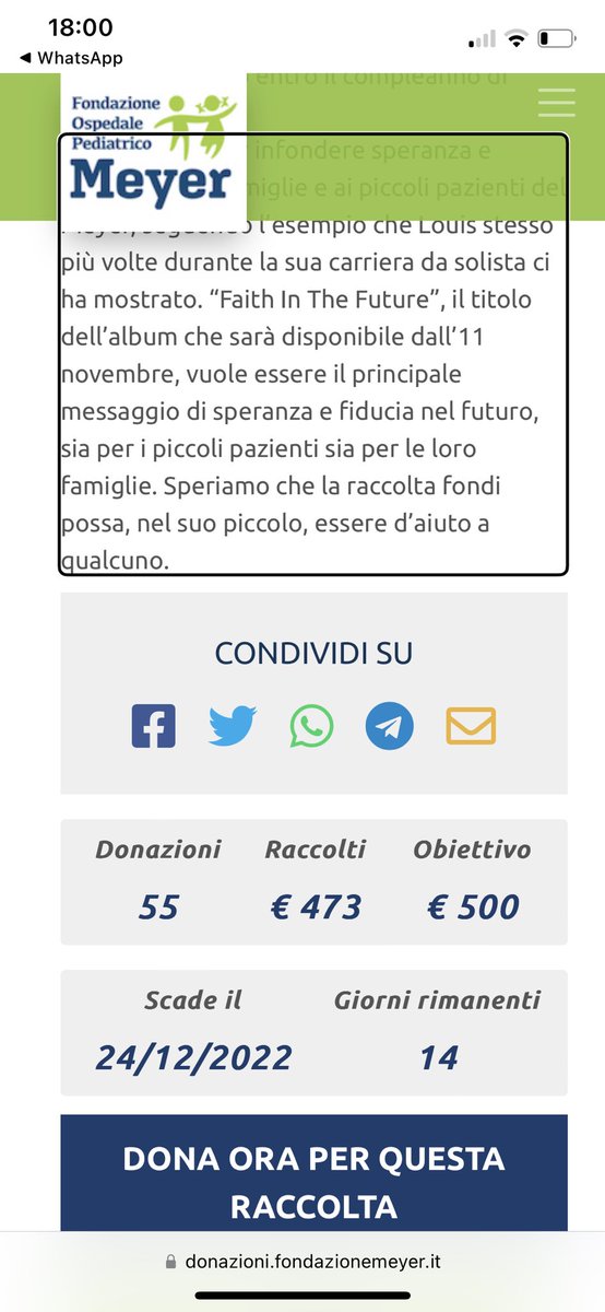 LTItalia's tweet photo. Vi ricordiamo che potete ancora donare nella raccolta fondi per il compleanno di Louis in sostegno di @fondazionemeyer. Aiutateci a raggiungere il nostro obbiettivo ♥️ #FaithInTheFutureSP
https://t.co/zFO2Ec1ha4 https://t.co/qIN37OxeUt