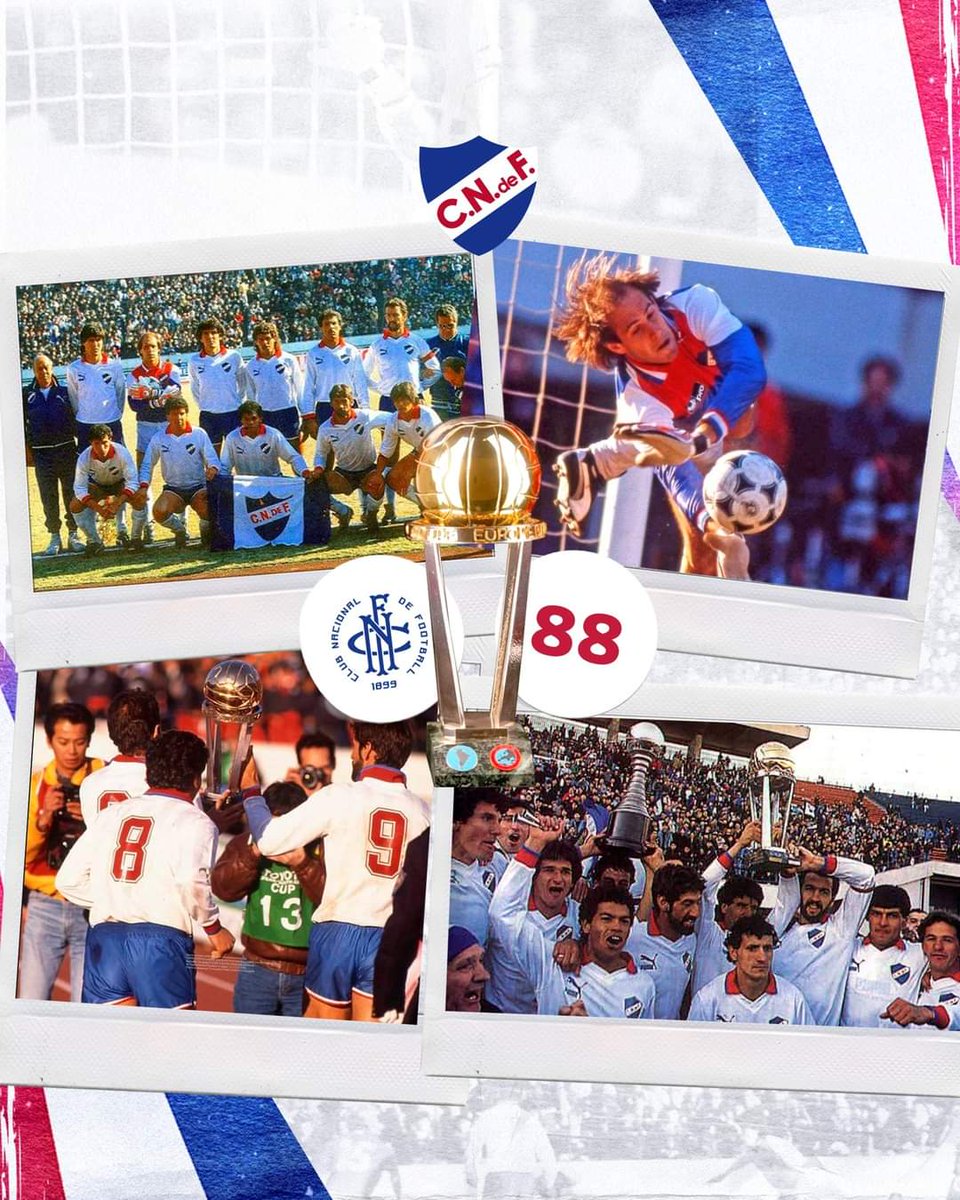 Mi gratitud hacia ese grupo que nos.permitio a todos los.bolsos gritar nuevamente CAMPEONES!!!