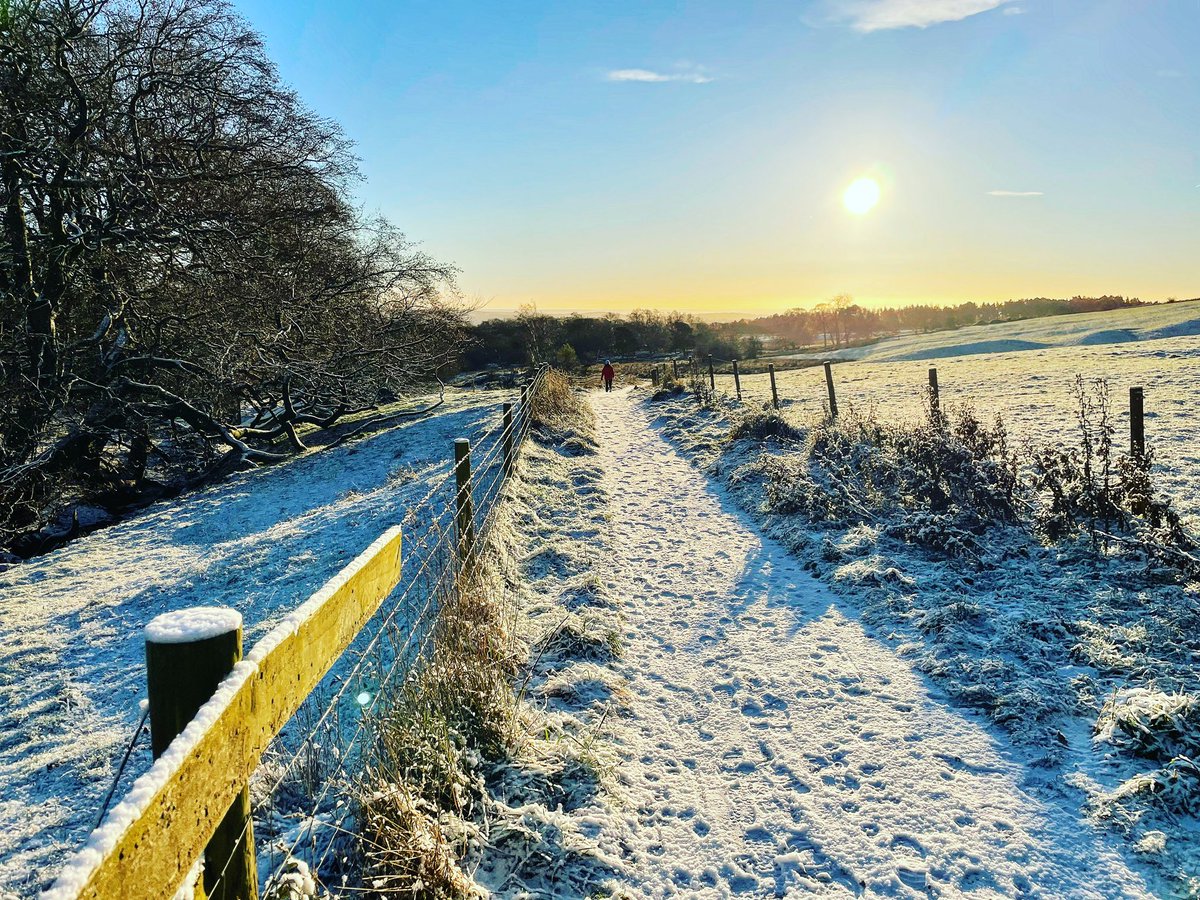 Round Sheffield Run (@roundshefrun) on Twitter photo 4 weeks until RSR Winter!
Get your entry in by midnight tonight for a personalised race number! π 4 weeks until RSR Winter!
Get your entry in by midnight tonight for a personalised race number! π