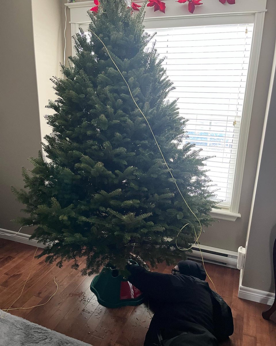 Lori-Lydia Loveless tweet media