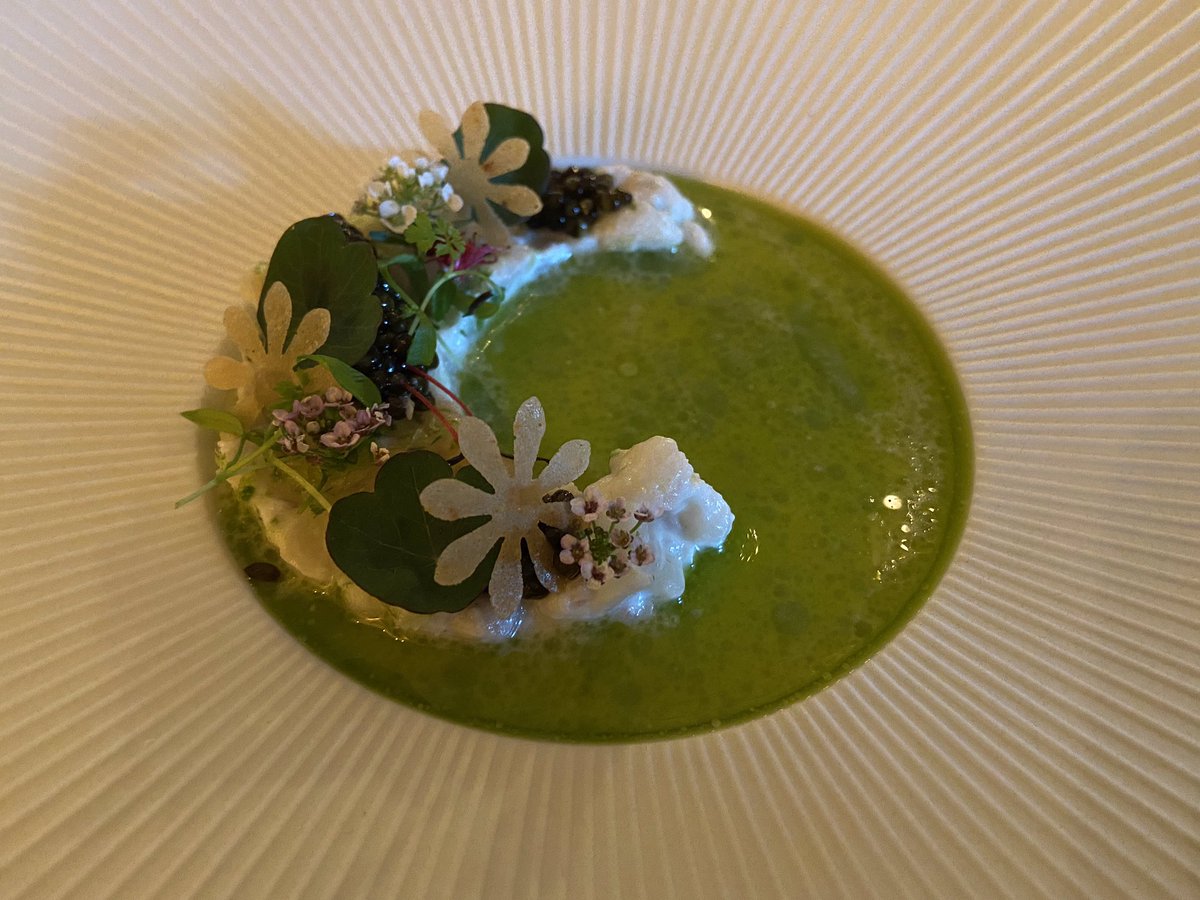 Brian Nolan tweet media