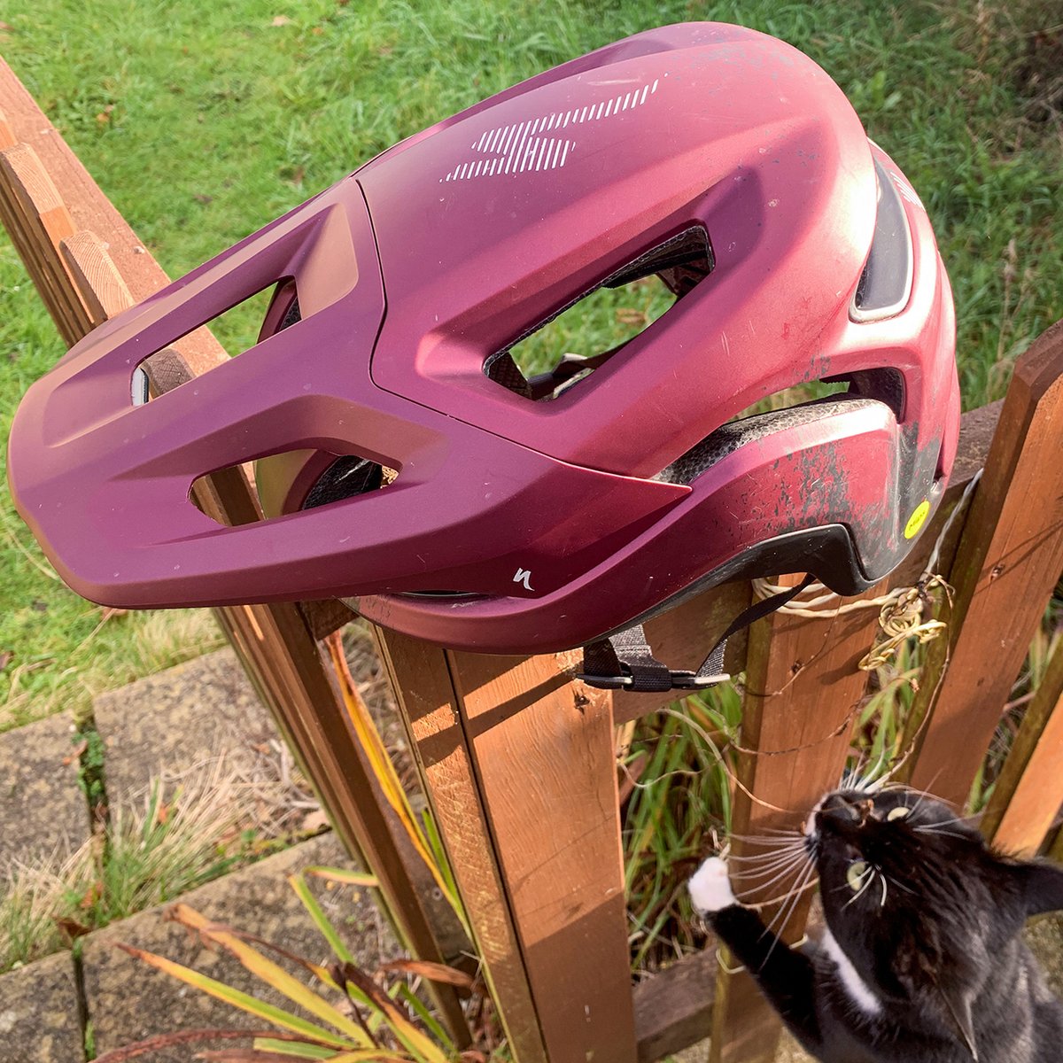 TredzBikes's tweet photo. Time for some end-of-year rounds ups. Adam from our media team has picked out some choice bits of 2022 kit to share
@Specialized_UK Ambush 2 Helmet
@TLD_BIKE Air Gloves
Granite Talon Tyre Levers/Quick Link Pliers
@OspreyPacks Seral 7 Hip Bag
#bestof2022 #staffrecommended https://t.co/uNJLC7Gczl